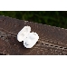 Наушники HARPER HB-517 white, фото 3