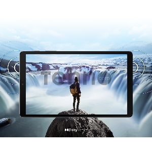 Планшет Samsung Galaxy Tab A7 Lite SM-T225 3/32GB LTE темно-серый