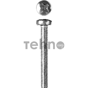 Винт DIN 7985, M4 x 30 мм, 5 кг, кл. пр. 4.8, оцинкованный, ЗУБР