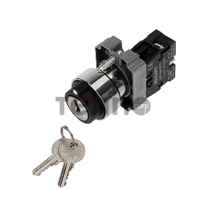 Переключатель BD21 2P с замком NO REXANT