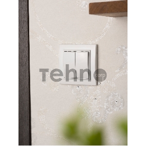 Выключатель 2-клавишный СП,10А, белый EKF Basic Минск