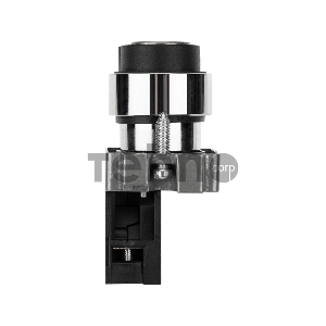 Переключатель BD21 2P с замком NO REXANT