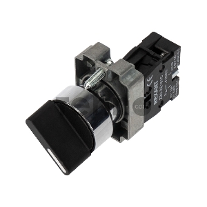 Переключатель BD21 2P короткая ручка NO REXANT