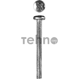 Винт DIN 7985, M6 x 55 мм, 5 кг, кл. пр. 4.8, оцинкованный, ЗУБР