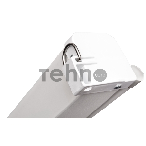 Экран Pro 266x150см Motoscreen 16:9 настенно-потолочный рулонный (моторизованный)  120