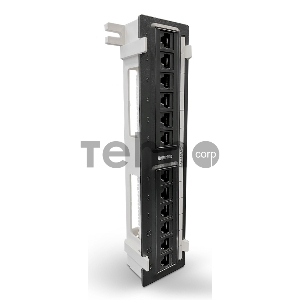Монтажное оборудование Hyperline PPW-12-8P8C-C5e Патч-панель настенная, 12 портов RJ-45(8P8C), категория 5е, с подставкой