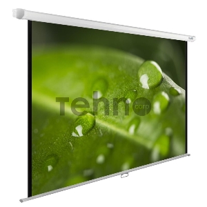 Экран Cactus 150x200см WallExpert CS-PSWE-200x150-WT 4:3 настенно-потолочный рулонный Экран Cactus 150x200см WallExpert CS-PSWE-200x150-WT 4:3 настенно-потолочный рулонный