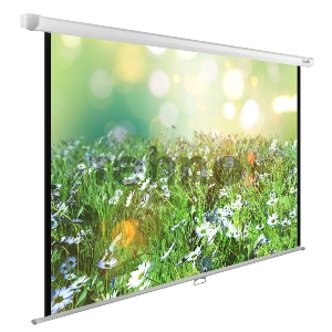 Экран Cactus 200x200см WallExpert CS-PSWE-200x200-WT 1:1 настенно-потолочный рулонный Экран Cactus 200x200см WallExpert CS-PSWE-200x200-WT 1:1 настенно-потолочный рулонный