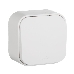 Переключатель 10A одноклавишный (Белый) Legrand 782204, фото 1
