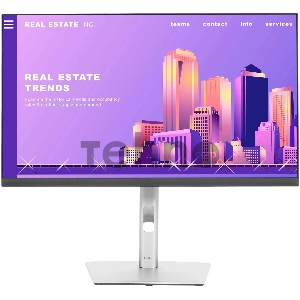 Монитор 23.8 Dell P2422H черный IPS LED 5ms 16:9 HDMI матовая HAS Pivot 1000:1 250cd 178гр/178гр 1920x1080 D-Sub DisplayPort FHD USB