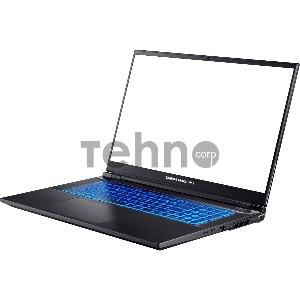 Ноутбук Dream Machines RS3060-17EU50
