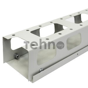 Вертикальный кабельный органайзер 47U, Standart с крышкой, ширина 100мм