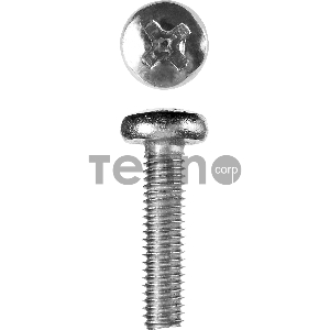 Винт DIN 7985, M6 x 25 мм, 5 кг, кл. пр. 4.8, оцинкованный, ЗУБР