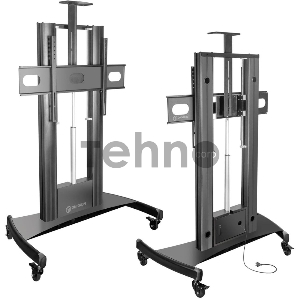 Стойка для телевизора с кронштейном ONKRON TS2210 55-100, мобильная, чёрная