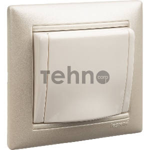 Розетка Valena с заземлением с крышкой (белая)