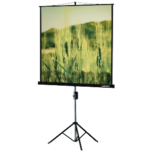 Экраны LUMIEN LUMIEN Master Picture LMP-100101,  127х127 см, 1:1