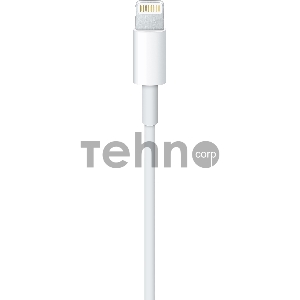 Кабель Apple для iPhone 5/5S MD819ZM/A (MD819ZM/A)