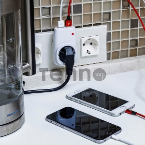 Адаптер питания 220В + 2  USB REXANT RX-17