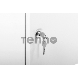 Шкаф телеком. настенный разборный 6U (600х650) дверь металл (ШРН-Э-6.650.1)