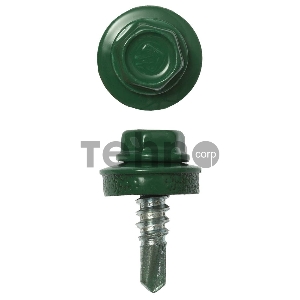 Саморезы СКМ кровельные, RAL 6002 зеленый лист, 19 х 5.5 мм, 2 500 шт, для металлических конструкций, ЗУБР Профессионал