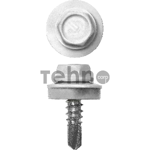 Саморезы СКМ кровельные, RAL 9003 белый, 19 x 5.5 мм, 2 500 шт, для металлических конструкций, ЗУБР Профессионал