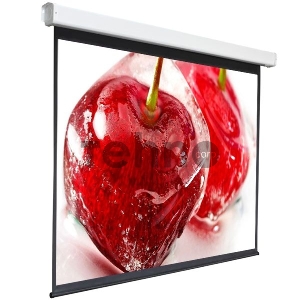 Экран 220x300см Digis Electra-F DSEF-4305 4:3 настенно-потолочный рулонный (моторизованный привод) Экран 220x300см Digis Electra-F DSEF-4305 4:3 настенно-потолочный рулонный (моторизованный привод)