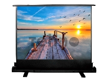 Экран Cactus 113x200см FloorExpert CS-PSFLE-200X113 16:9 напольный рулонный