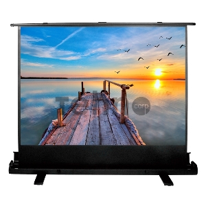 Экран Cactus 113x200см FloorExpert CS-PSFLE-200X113 16:9 напольный рулонный Экран Cactus 113x200см FloorExpert CS-PSFLE-200X113 16:9 напольный рулонный