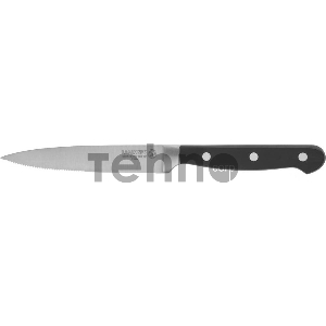 Нож LEGIONER FLAVIA для стейка, пластиковая рукоятка, лезвие из молибденванадиевой стали, 110мм
