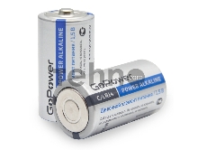 Батарейка GoPower LR14 C BL2 Alkaline 1.5V (2/12/192) блистер (2 шт.)