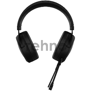 Наушники с микрофоном Acer AHW120 черный мониторные оголовье (ZL.HDSCC.01C)