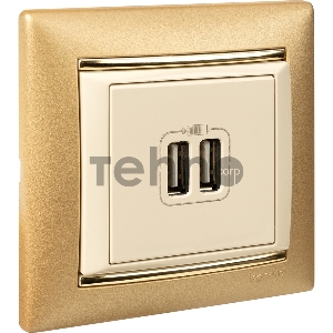 Valena Сл. кость Розетка 2-ая USB | 774170 | Legrand Valena Сл. кость Розетка 2-ая USB | 774170 | Legrand