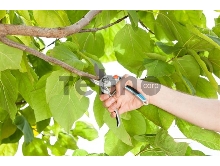 Секатор контактный Gardena B/L большой серый/черный (08906-20.000.00)