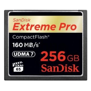 Флеш карта CF 256Gb Sandisk SDCFXPS-256G-X46 Флеш карта CF 256Gb Sandisk SDCFXPS-256G-X46