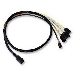 Кабель ACD-SFF8643-SATASB-10M, INT SFF8643-to-4*SATA+SB (MiniSAS HD -to- 4*SATA+SideBand internal cable) 100cm, фото 1