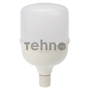 Лампа светодиодная высокомощная 50 Вт E27 с переходником на E40 4750 лм 6500 K холодный свет REXANT