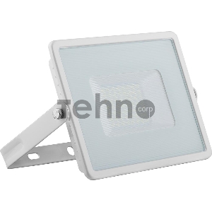Прожектор светодиодный FERON 29498  2835 SMD 50W 6400K IP65, белый с матовым стеклом, LL-921