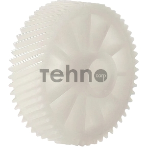 GEAR:DEVELOPMENT:FUSING:NO.1 GEAR:DEVELOPMENT:FUSING:NO.1