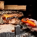 Бытовая газовая пьезозажигалка с классическим пламенем многоразовая (1 шт.) оранжевая СК-302W с гибким стержнем СОКОЛ, фото 2