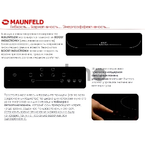 Электрическая индукционная панель MAUNFELD EVI.594.FL2(S)-BK