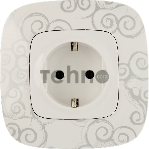 Силовая розетка 2К+З 16А 250В с лицевой панелью. Безвинтовые зажимы.