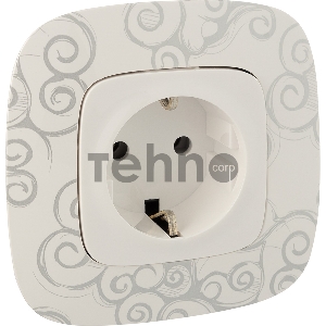 Силовая розетка 2К+З 16А 250В с лицевой панелью. Безвинтовые зажимы.