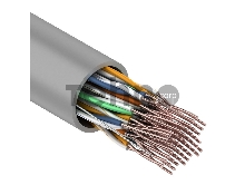 Кабель UTP REXANT 25PR 24AWG, CAT5, бухта 305 м