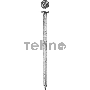 Зубр Гвозди 