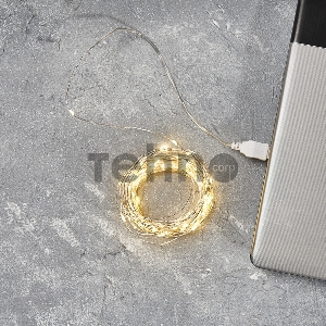 Гирлянда «Роса» 10 м, 100 LED, USB, теплое белое свечение NEON-NIGHT