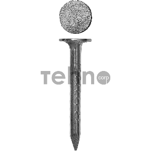 Гвозди толевые оцинкованные, ГОСТ 4029-63, 40 х 3.0 мм, 400 шт, ЗУБР