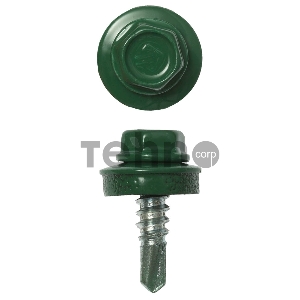 Саморезы СКМ кровельные, RAL 6002 зеленый лист, 19 х 5.5 мм, 2 500 шт, для металлических конструкций, ЗУБР Профессионал