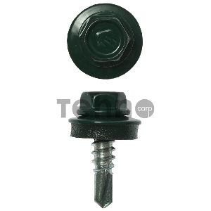 Саморезы СКМ кровельные, RAL 6005 зеленый насыщенный, 19 х 5.5 мм, 2 500 шт, для металлических конструкций, ЗУБР Профессионал