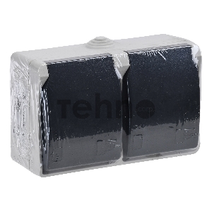 Розетка двухместная РСб22-3-ФСр с з/к для открытой установки IP54 Форс | ERS22-K03-16-54-DC | IEK