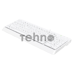 Клавиатура A4Tech Fstyler FK15 белый USB